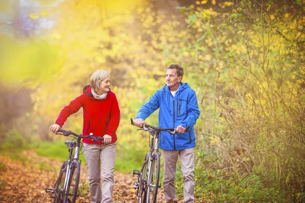 Active seniors having walk with bikes — Stock Photo, Image