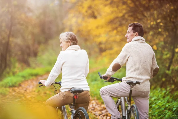 Aktive Senioren auf Fahrrädern — Stockfoto