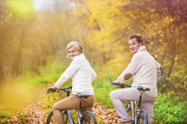 Aktiva seniorer på cyklar — Stockfoto