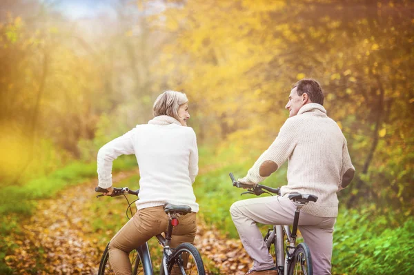 Actieve senioren op fietsen — Stockfoto