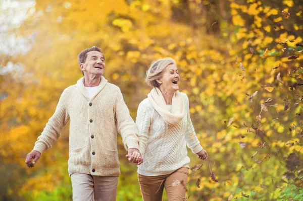 Actieve senioren plezier in herfst bos — Stockfoto