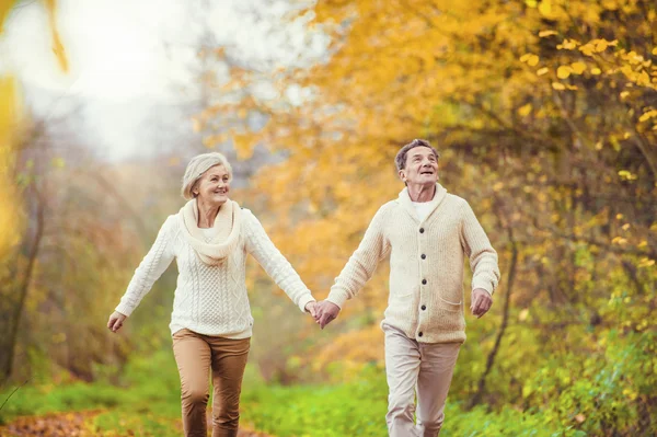 Aktiva seniorer har roligt i höst skog — Stockfoto