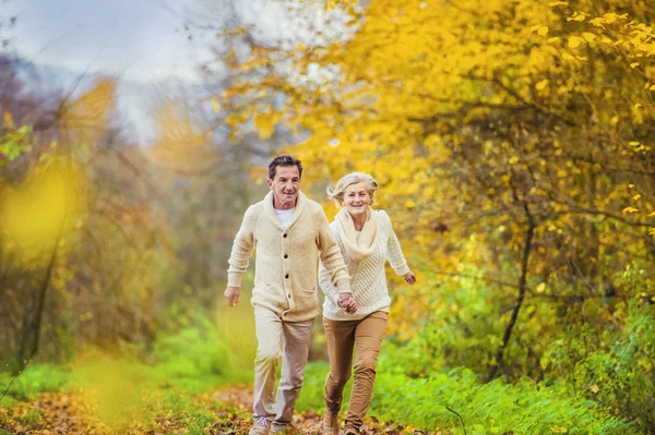 Actieve senioren plezier in herfst bos — Stockfoto