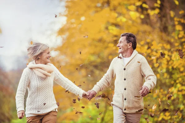 Active seniors having fun in autumn forest — Stock Photo, Image