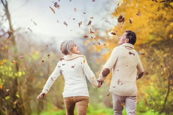 Aktive Senioren haben Spaß im Herbstwald — Stockfoto
