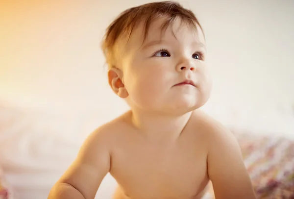 Pequeño bebé divirtiéndose en un sofá — Foto de Stock