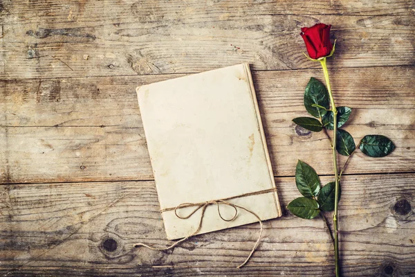 Carta de amor en blanco y rosa roja . — Foto de Stock