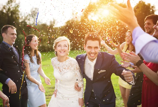 Newlywed couple and their friends — Stock Photo, Image