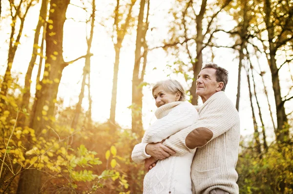 Senior couple hugging in autumn forest — Stock Photo, Image