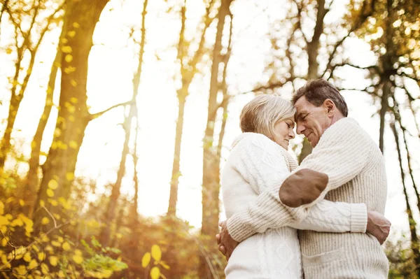 Senior couple hugging in autumn forest — Stock Photo, Image