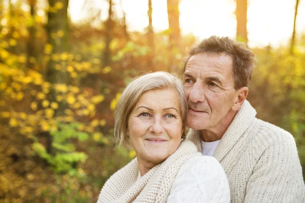 Senior couple hugging in autumn forest — Stock Photo, Image