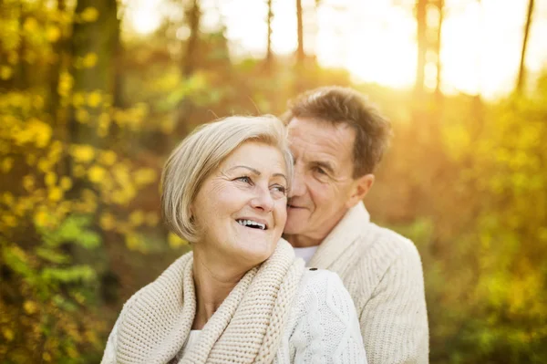 Couple sénior étreignant dans la forêt d'automne — Photo