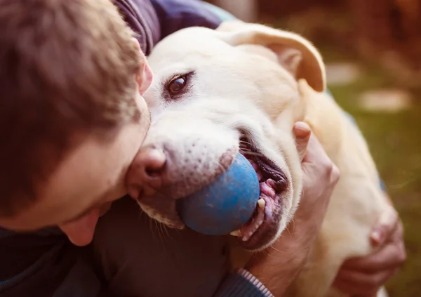 Adam köpeğiyle oynuyor. — Stok fotoğraf