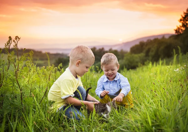 Brothers playing with cat — Stock Photo, Image