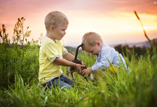 Brothers playing with cat — Stock Photo, Image