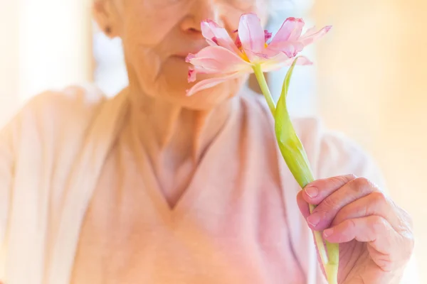 Seniorin hält rosa Blume in der Hand. — Stockfoto