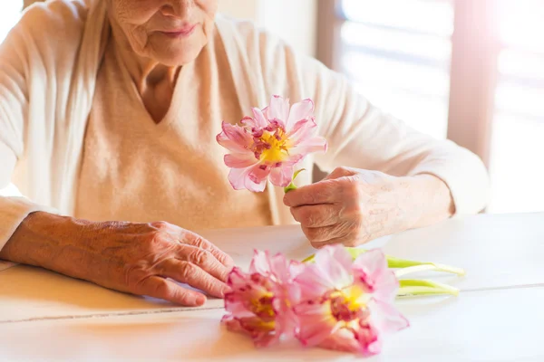 Mulher segurando uma flor rosa . — Fotografia de Stock