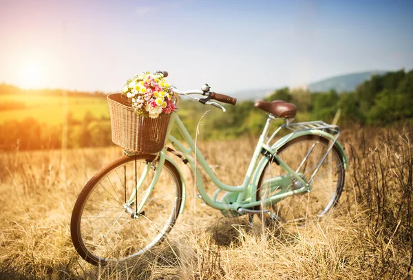 Cykel med korg full av blommor — Stockfoto