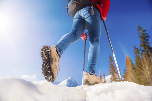 Kış doğada hiking kadın — Stok fotoğraf