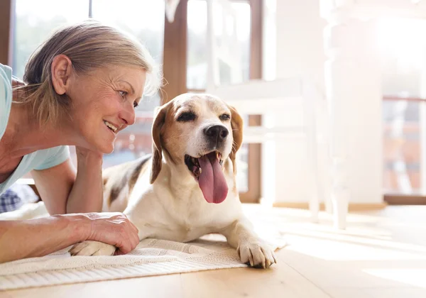 Ανώτερος γυναίκα με το σκύλο που απολαμβάνετε το χρόνο — Φωτογραφία Αρχείου