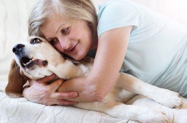 üst düzey kadın ve köpek