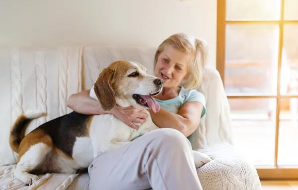 Seniorin und Hund — Stockfoto