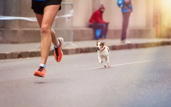 Runner and a dog at the city race — Stock Photo, Image