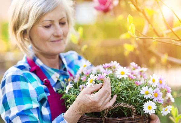 Seniorin mit Blumen — Stockfoto