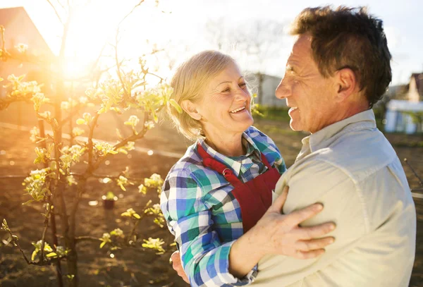 Senior couple in their garden — Stock Photo, Image