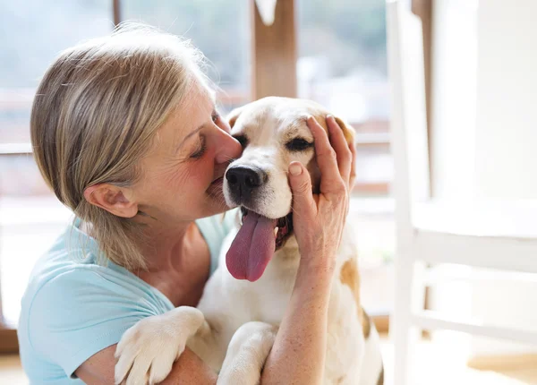 Äldre kvinna och hund — Stockfoto