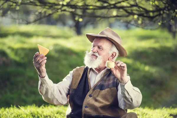 Agricultor sénior com queijo biológico — Fotografia de Stock