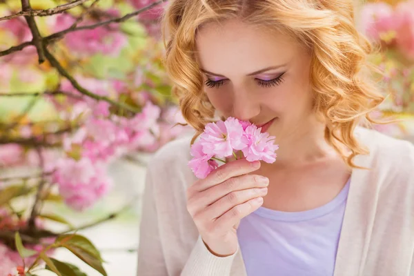 Woman smells pink flowers — Stock Photo, Image