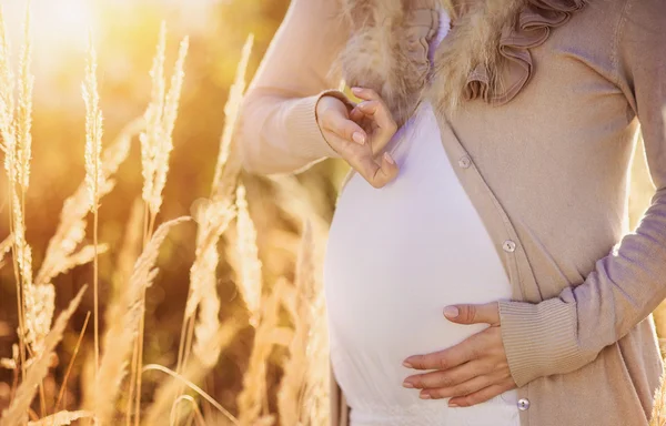 Donna incinta in campo — Foto Stock