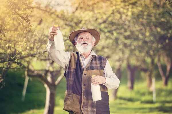 Agricultor sénior com garrafas de leite — Fotografia de Stock