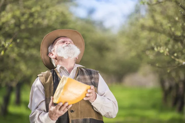 Agricultor sénior com queijo biológico — Fotografia de Stock