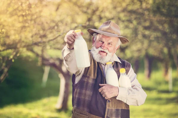 Agricultor sénior com garrafas de leite — Fotografia de Stock