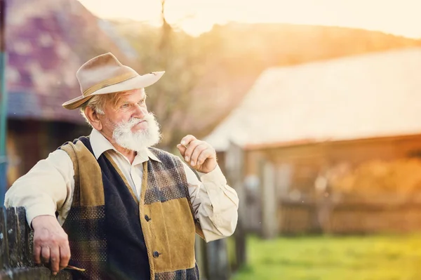 Starší zemědělce v létě — Stock fotografie