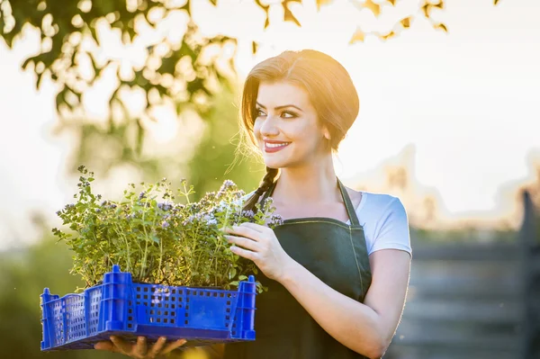 Young woman gardening — Stock Photo, Image