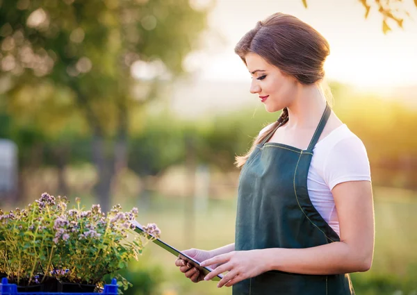 Young woman gardening — Stock Photo, Image