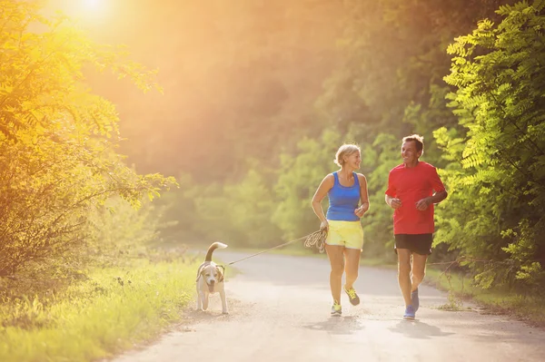 Senior couple running — Stock Photo, Image