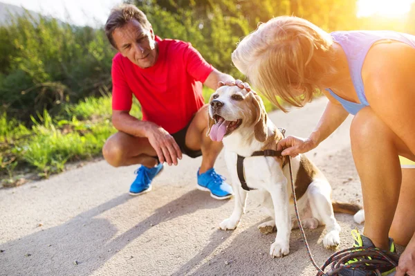 Senior couple running — Stock Photo, Image