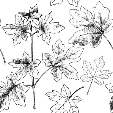 elle çizilmiş sonbahar yaprakları