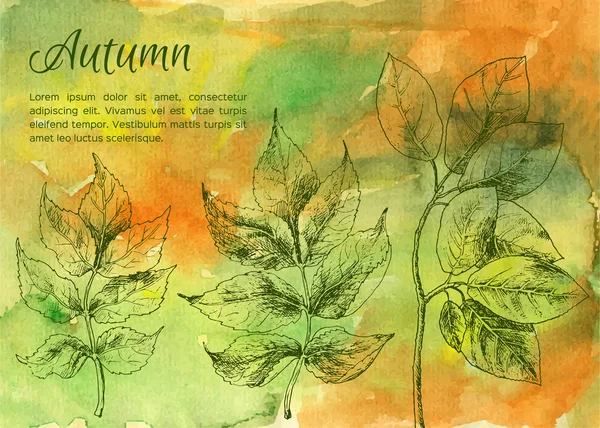 手绘秋天的树叶 — 图库矢量图片