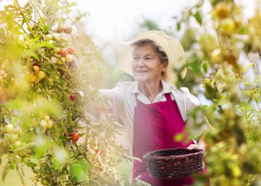 onu bahçede kadın kıdemli