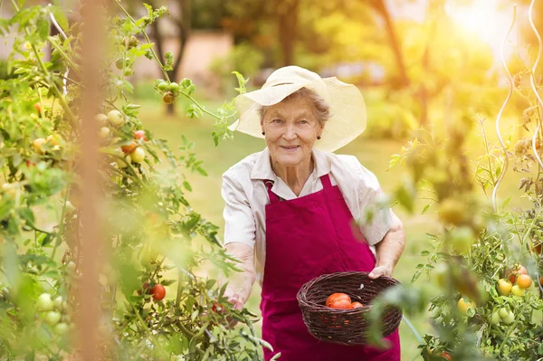 Seniorin in ihrem Garten — Stockfoto