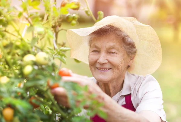 Senior woman in her garden — Stock Photo, Image