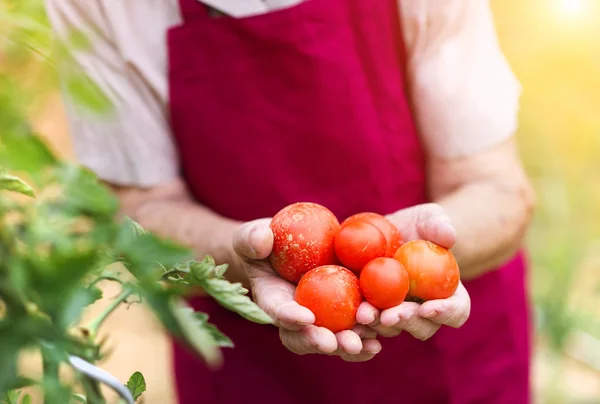 Senior vrouw in haar tuin — Stockfoto