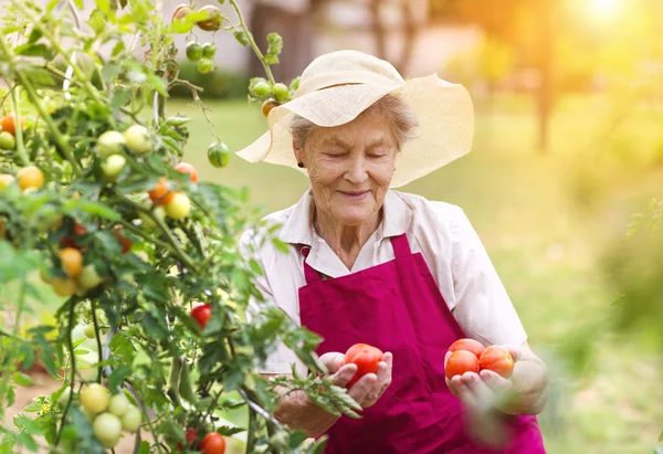 Senior vrouw in haar tuin — Stockfoto