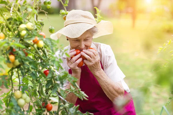 Senior vrouw in haar tuin — Stockfoto