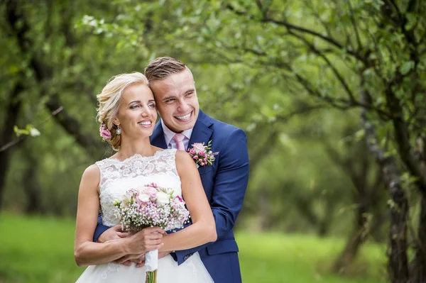 Beautiful wedding couple — Stock Photo, Image